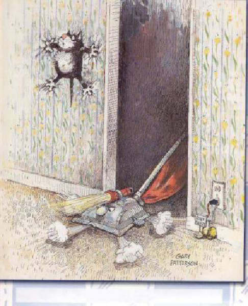 x-chat peureux-humourenvrac